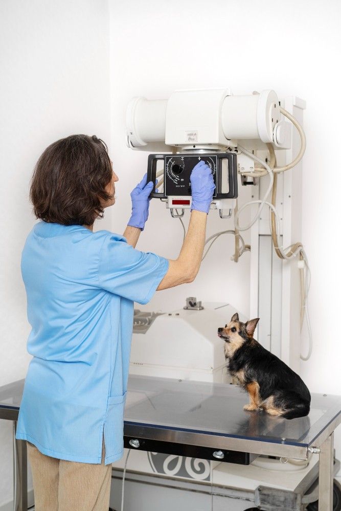 Veterinary equipment
